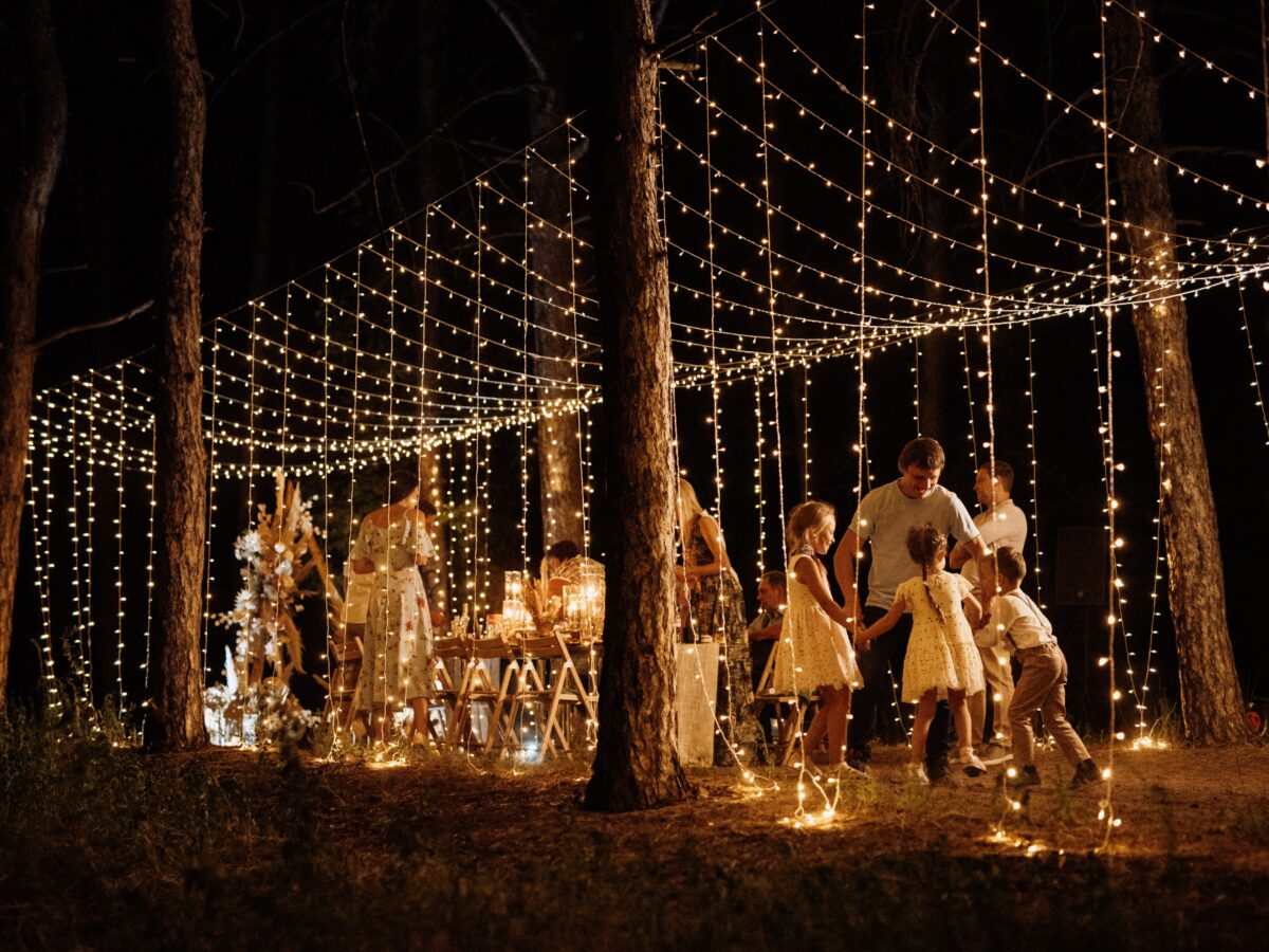wedding-banquet-area-in-a-pine-forest-with-an-arch-2026-03-17-00-43-04-utc-cropped